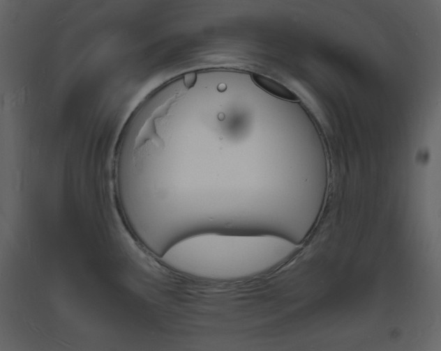 X0000094061291200710190924