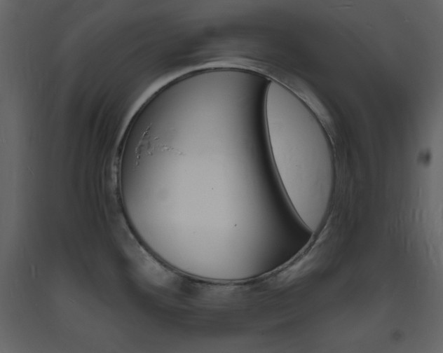 X0000094061292200710190924