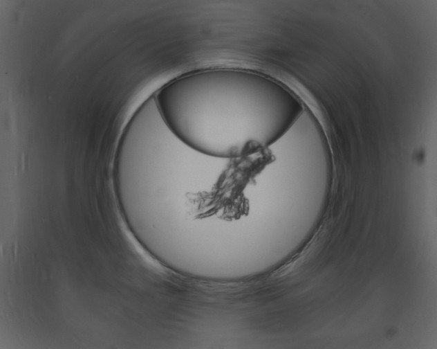 X0000094061293200710190924