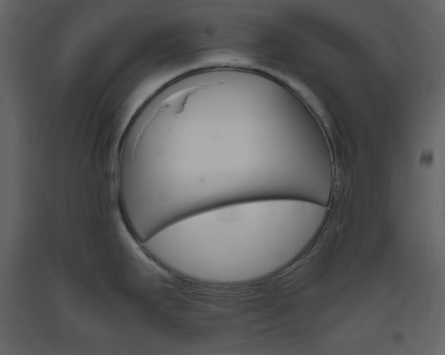 X0000094061295200710190924