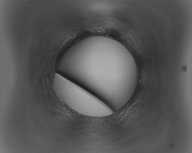 X0000094061297200710190923