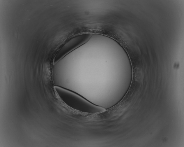 X0000094061298200710190923