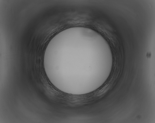 X0000094061300200710190923