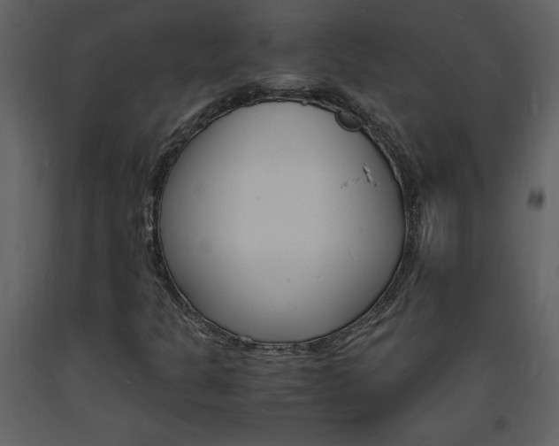 X0000094061301200710190923