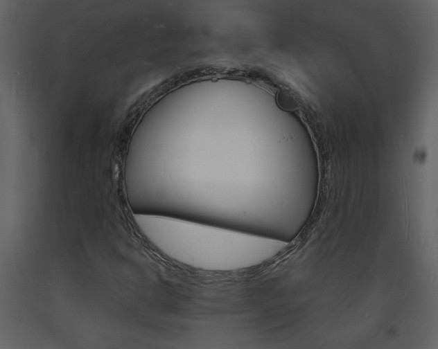 X0000094061302200710190923