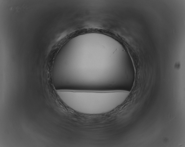 X0000094061303200710190923