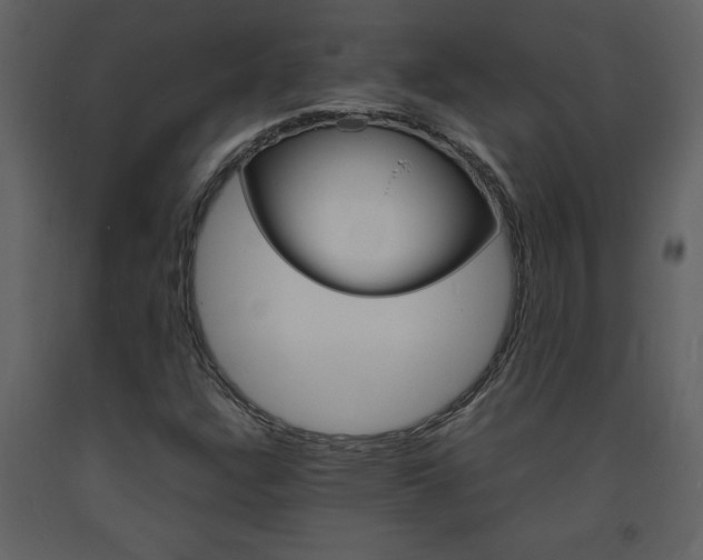 X0000094061304200710190923