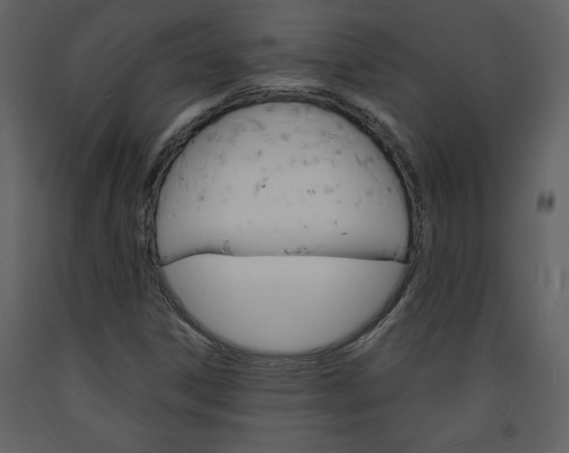 X0000094061306200710190923