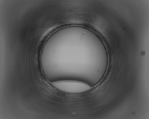 X0000094061307200710190923