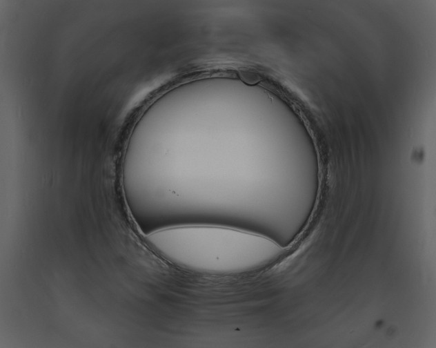 X0000094061309200710190923