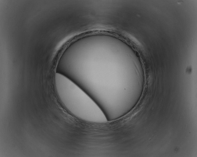 X0000094061310200710190923