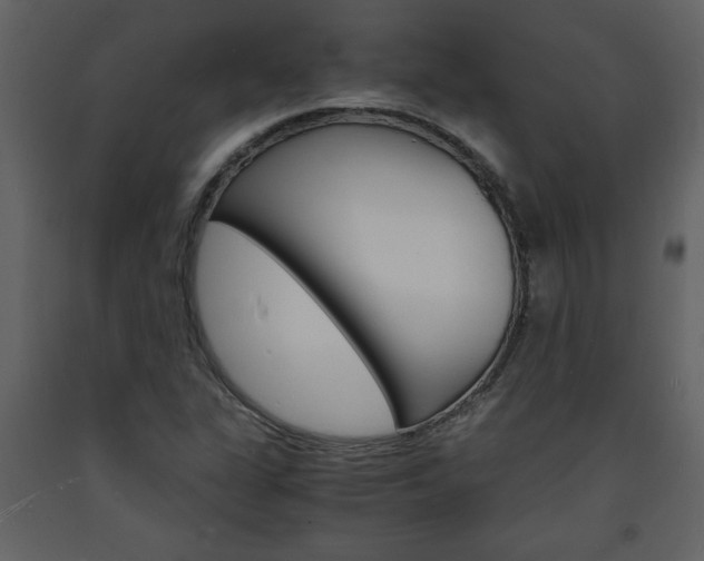 X0000094061311200710190923
