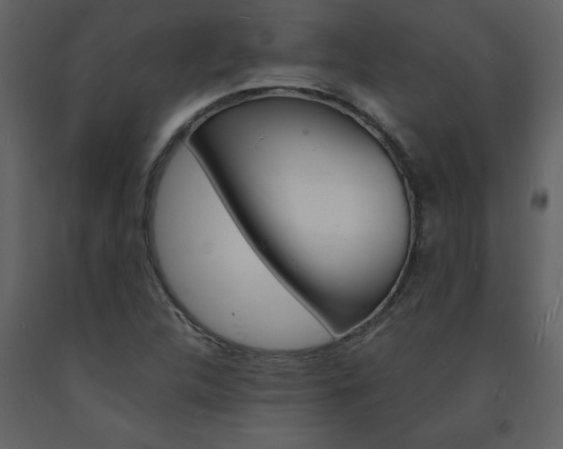 X0000094061312200710190923