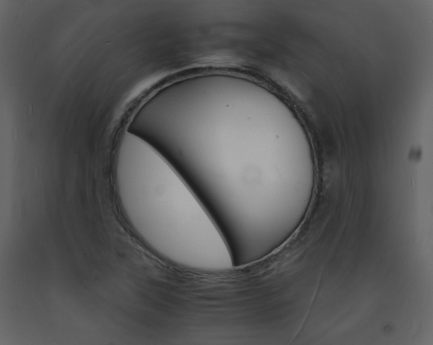 X0000094061315200710190923
