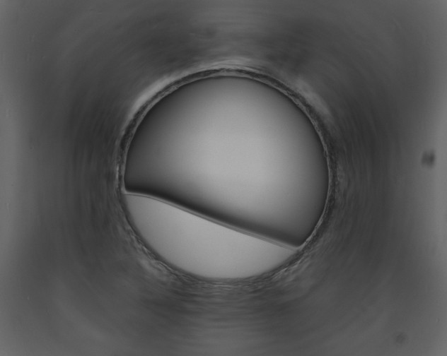 X0000094061316200710190923