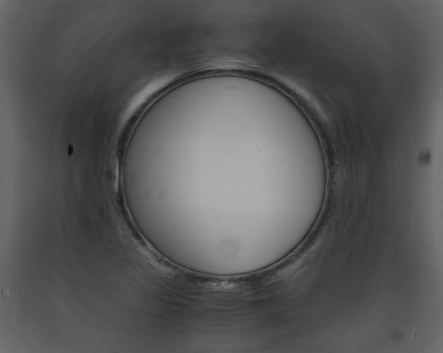 X0000094061317200710190923