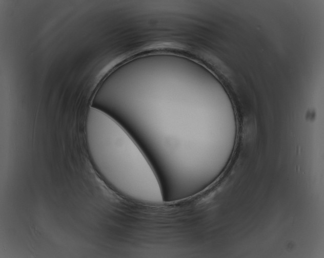 X0000094061321200710190923