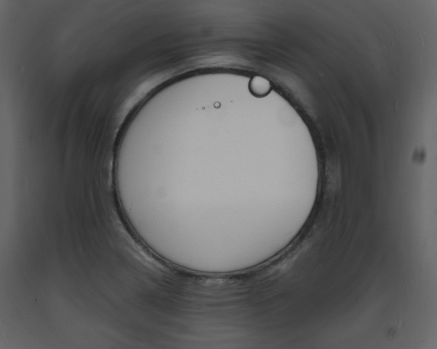 X0000094061322200710190923
