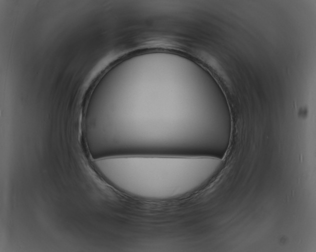 X0000094061323200710190923