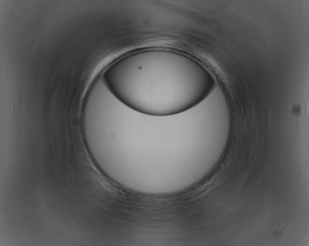 X0000094061324200710190923