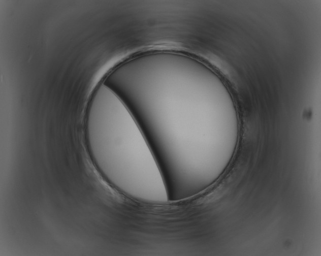 X0000094061325200710190923