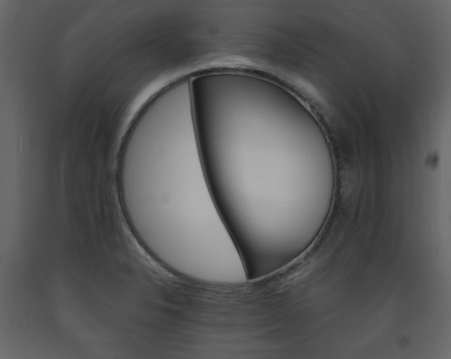 X0000094061326200710190923