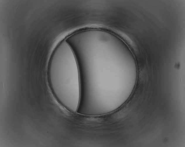 X0000094061327200710190923