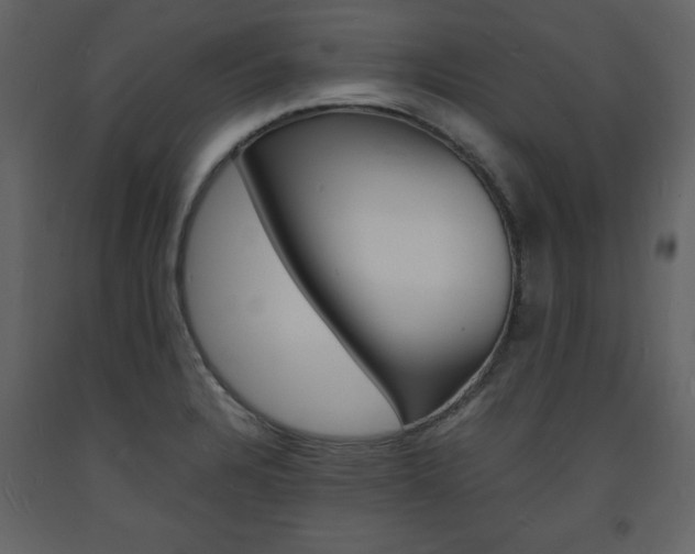 X0000094061328200710190923