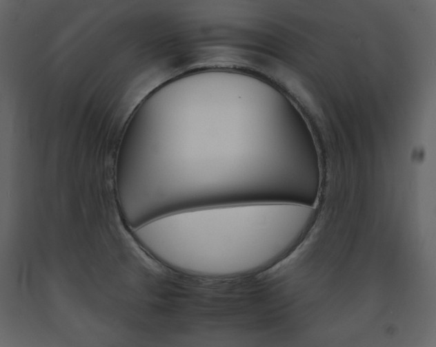 X0000094061329200710190923