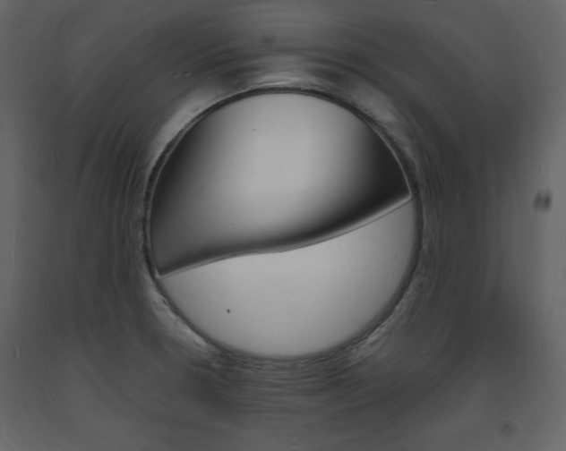 X0000094061330200710190923