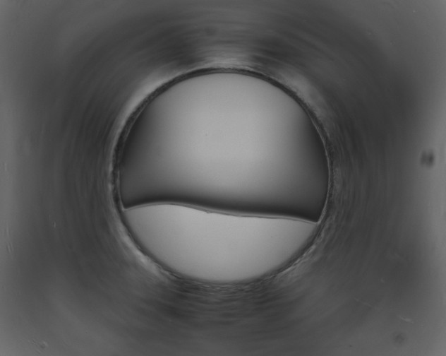 X0000094061331200710190923