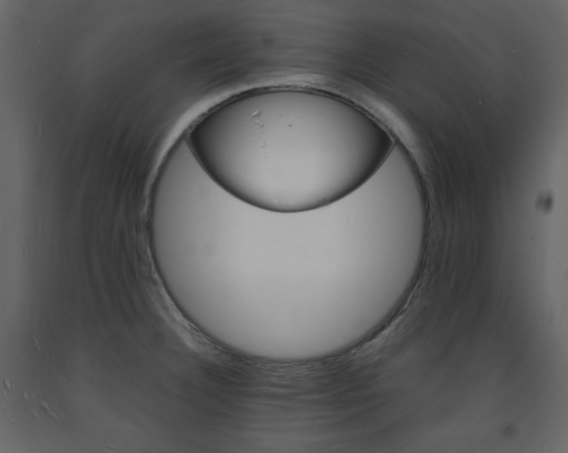 X0000094061332200710190923