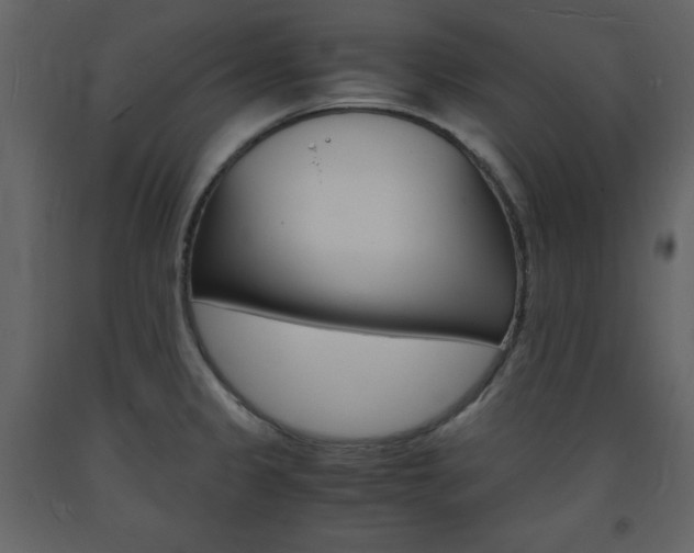 X0000094061333200710190923