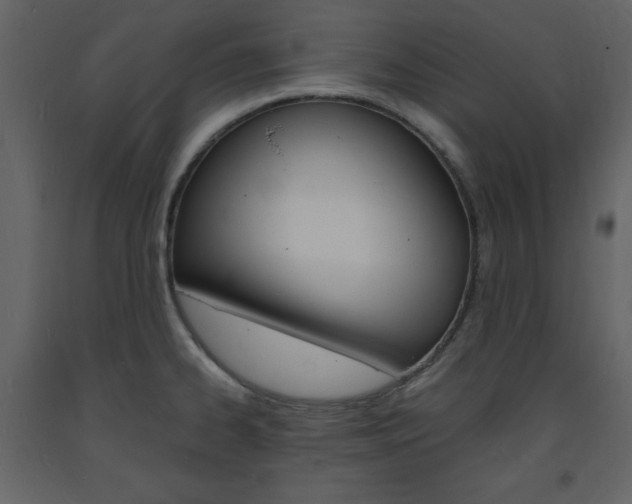 X0000094061334200710190923