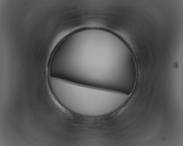 X0000094061335200710190923