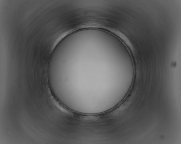 X0000094061337200710190923