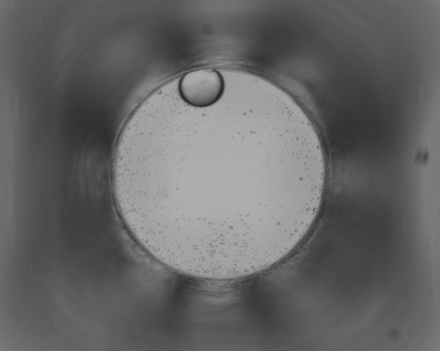 X0000094061338200710190923