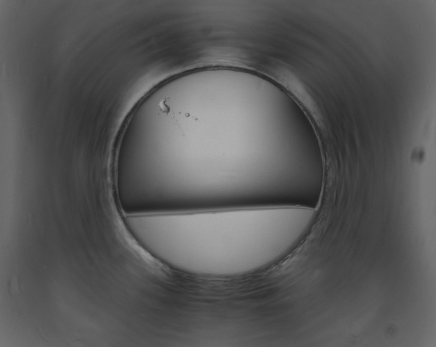 X0000094061339200710190923