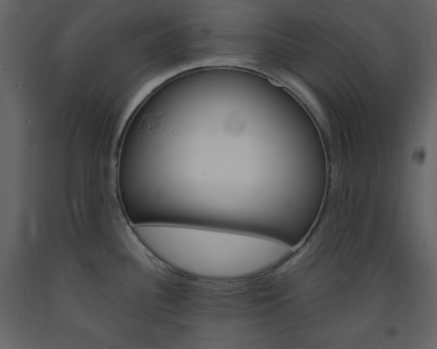 X0000094061340200710190924