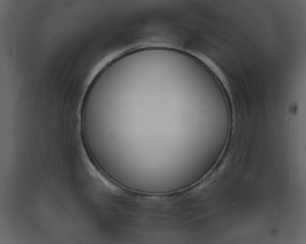 X0000094061341200710190924