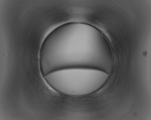 X0000094061343200710190924