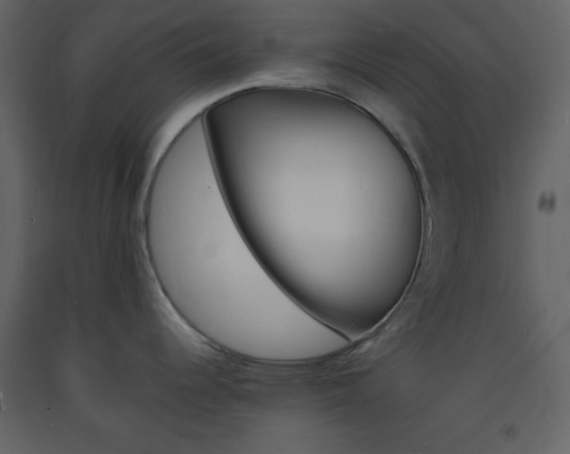 X0000094061344200710190924