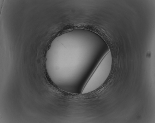 X0000094061345200710190923