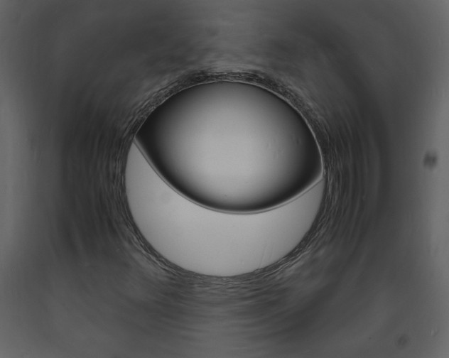 X0000094061348200710190923