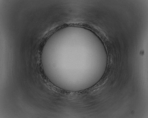 X0000094061350200710190923