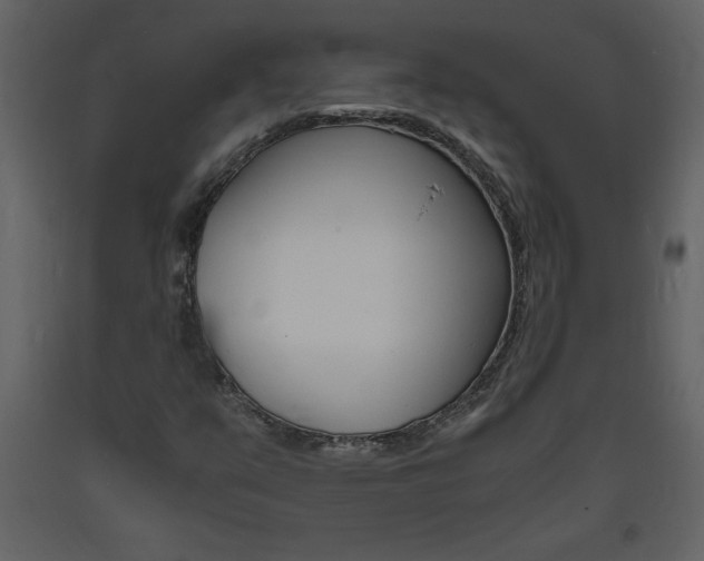 X0000094061351200710190923