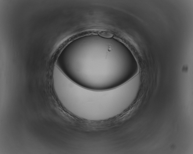 X0000094061352200710190923
