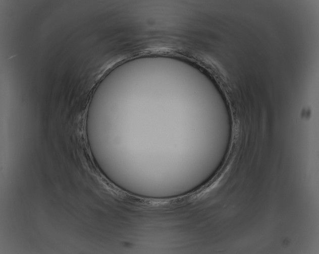 X0000094061353200710190923