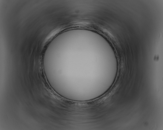 X0000094061354200710190923