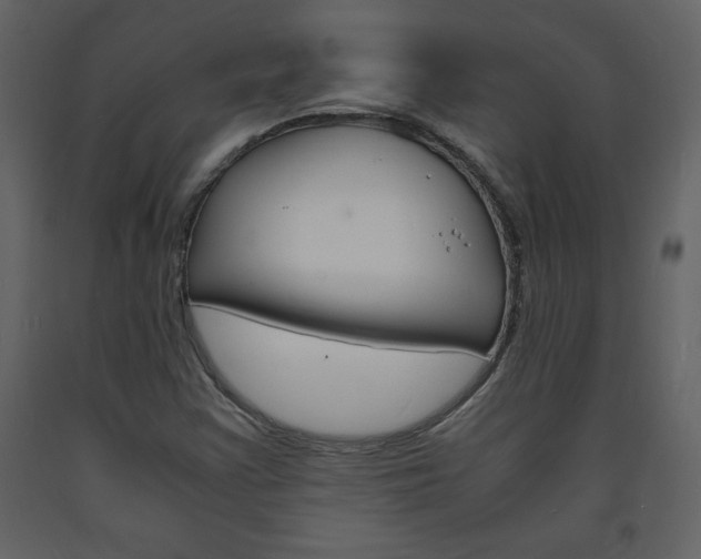 X0000094061355200710190923